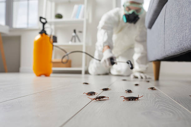 Commercial Kitchen Cockroach Control in Short Pump